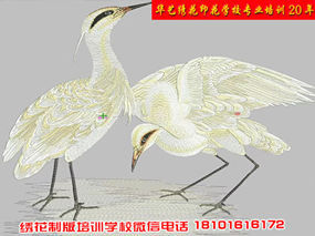 学电脑绣花制版，现场实战最重要